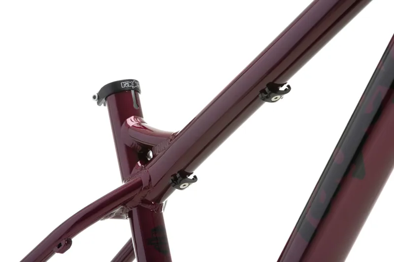 Ragley Big AL Hardtail Mountain Bike Frame - Raspberry-5
